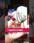 Choose Your Heart Shaped Alfajores Box For Valentine's Day